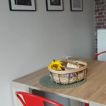 Le Kot'je - Les De La Petite Ferme Flamande Hébergement de vacances