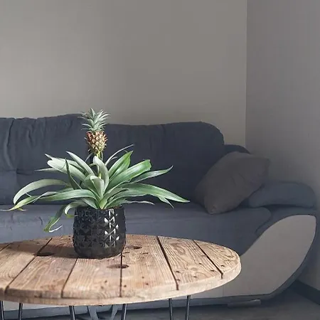 Hébergement de vacances Le Kot'je - Les De La Petite Ferme Flamande *