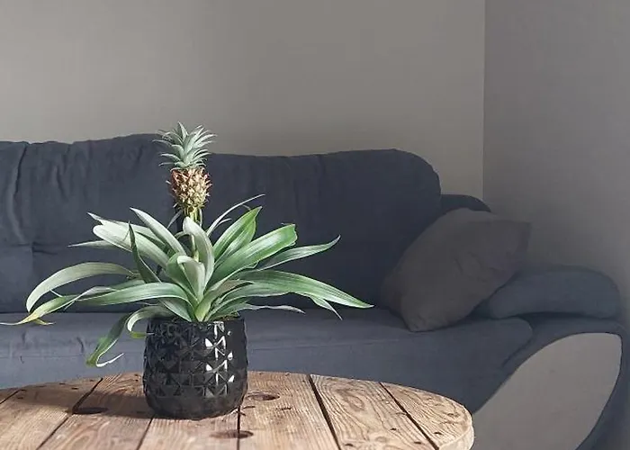 Semesterbostad Le Kot'je - Les De La Petite Ferme Flamande *