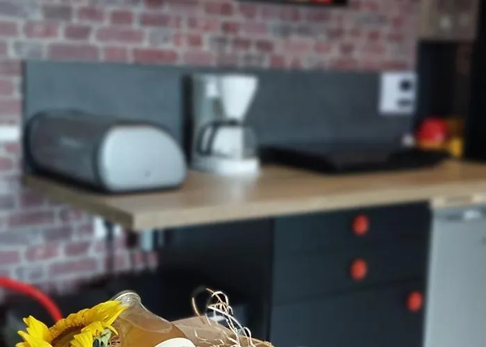 Le Kot'je - Les De La Petite Ferme Flamande Rexpoede