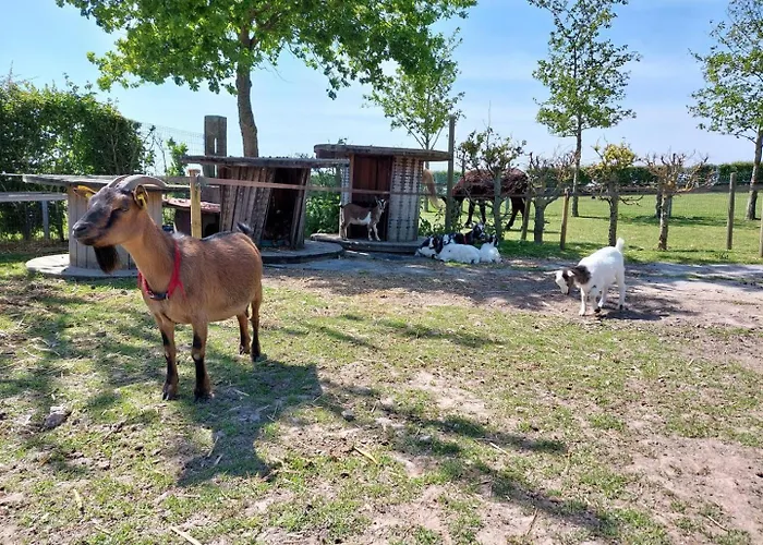 Semesterbostad Le Kot'je - Les De La Petite Ferme Flamande Rexpoede